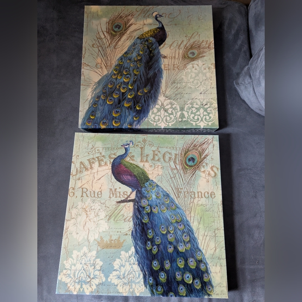 Peacock Art Canvas Set